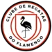 Flamingo Club Logo